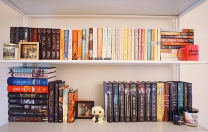 book shelf tour