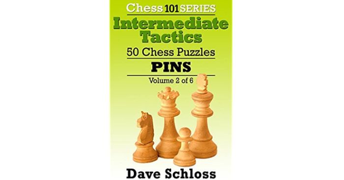 chess 101