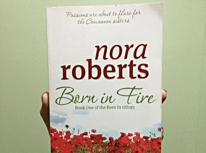 born in fire nora roberts book