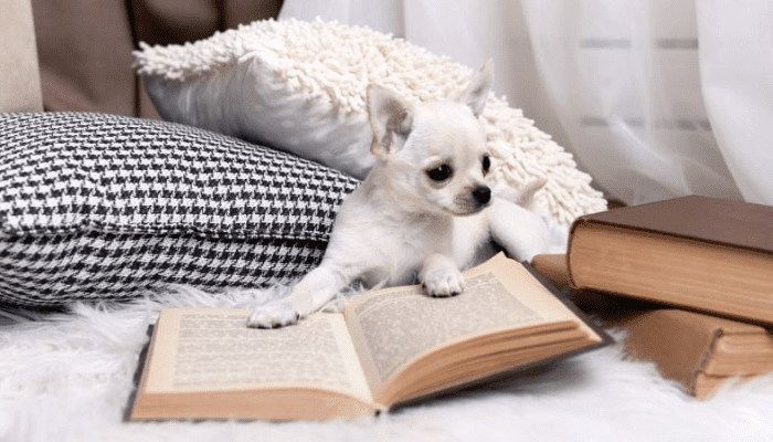 literary dog names